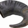 Buffalo Horn - Large